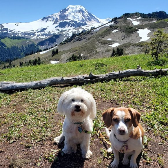 Meet your Posher, Michelle - Picture 6 of 13